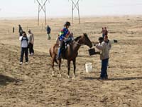 /international/2006Walvisbay/images/Loop2/thumbnails/loop2 038.jpg